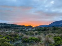 Morgenstimmung im Tongariro Nationalpark