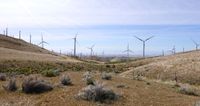 Endlose Windfarmen
